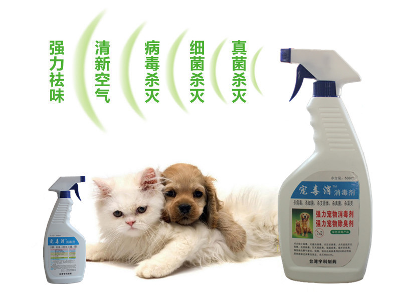 寵毒消 專業寵物消毒解決方案，守護愛寵健康環境